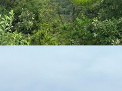 -西湖风景区十里琅珰-五云山