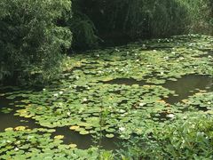 -白塘生态植物园