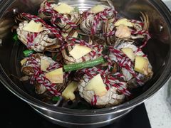 -福孕妈妈家政•月嫂育儿嫂保姆