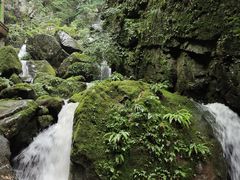 -藏龙百瀑风景区