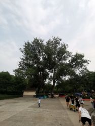 点击看大图 -酷酷兔少儿拓展天地