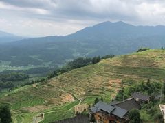 -紫鹊界梯田景区