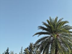 -亚龙湾中心广场