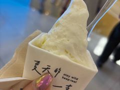 -野人先生Gelato(上海长宁龙之梦店)
