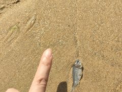 -烟台金沙滩海滨公园