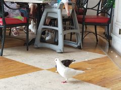 -茵特拉根酒店·西餐厅