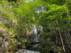 -藏龙百瀑风景区