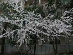 -陕西师范大学(雁塔校区)