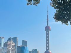 -LESCEDARS Brasserie Bistro香柏树