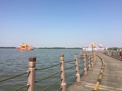 -溱湖国家湿地公园