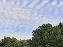 -杭州香格里拉·香宫中餐厅