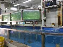 水产区-京深海鲜市场(光彩路店)