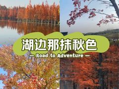 -白鹭湾湿地公园