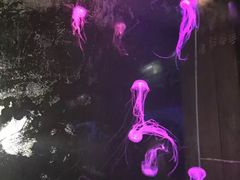 -北海·海洋之窗