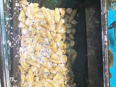 -聚鑫阁江浙菜·非遗传承技艺(青村帝华园店)