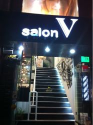 salon v-SALON V