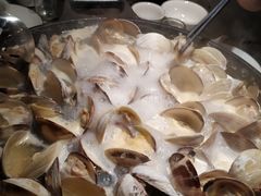 -顺德哥卜卜贝(旗舰店)