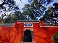 -子昂故里文化旅游区