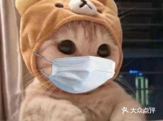 不管在家里什么地方,都要叼着自己的玩具小猪