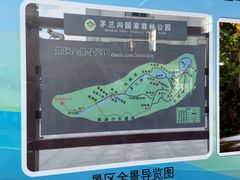-茅兰沟国家森林公园