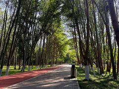 -阿尔丁植物园