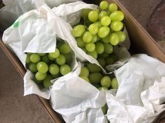 -马陆小张葡萄园农家乐