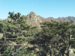 -大连天门山国家森林公园