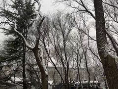 -玲珑塔公园