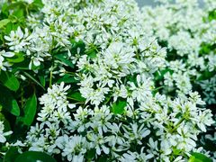 -龙记桂林米粉店(书城路店)