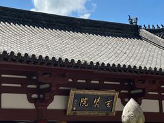 -灵谷景区
