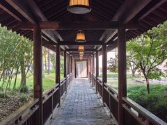-东园小馆·早茶·淮扬小炒(宋夹城店)