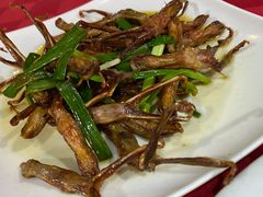 -先鲜鲫鱼粥