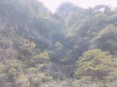 -重庆武隆天生三桥风景区-神鹰天坑