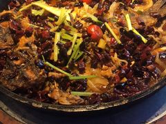 -老板恋上鱼(恒隆广场店)