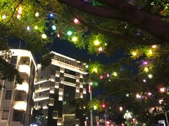 -宝安西湾红树林湿地公园