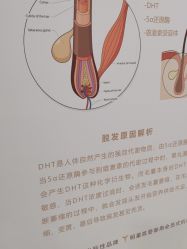 -熙朵美学植发·连锁品牌