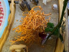 -滇釜火锅·能喝汤的火锅(车公庄店)