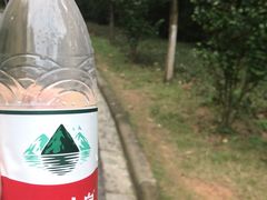 -火炉山森林公园