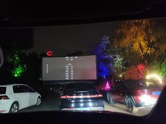 -枫花园汽车电影院(朝阳公园店)