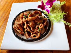 鲜椒沙鱼肚-云里小坐·小院里·团建·宴请·下午茶(三圣乡店)