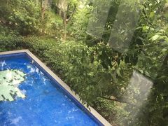 -上海崇明金茂凯悦酒店