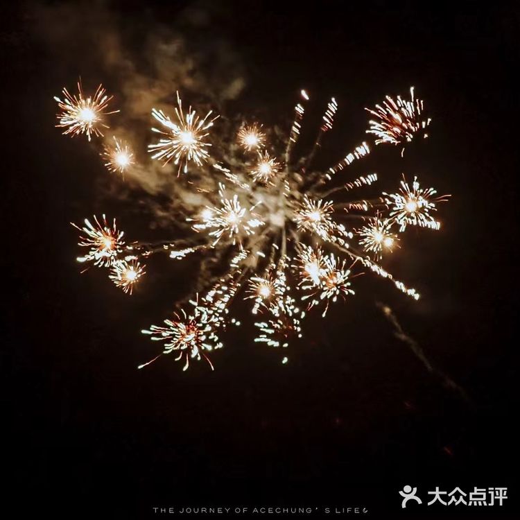 吃到撑的烤鱼