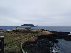 -涉地可支
