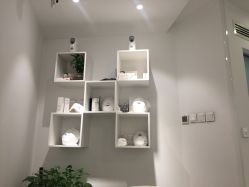 -紫御国际抗衰ZOE ANTI AGING