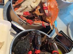 -半岛听涛蒸汽海鲜自助(K11店)