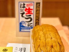 SP级的羽立海胆-橼舍鮨青木