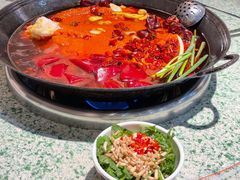 -五里关火锅(牛市口店)