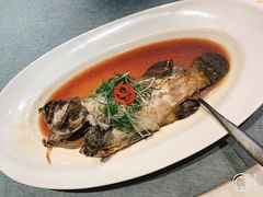 -宝燕壹号(徐汇店)