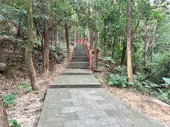-火炉山森林公园