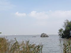 -上海吴淞炮台湾国家湿地公园